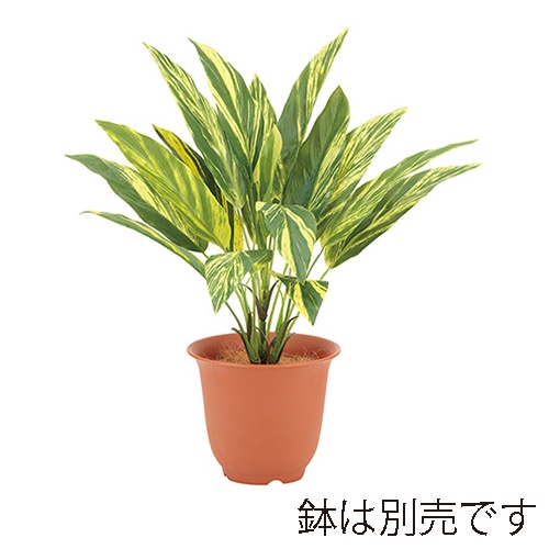 ドガ ウォータープルーフ　トラディスカンチャブッシュ  LEB-8202 1本（ご注文単位1本）【直送品】