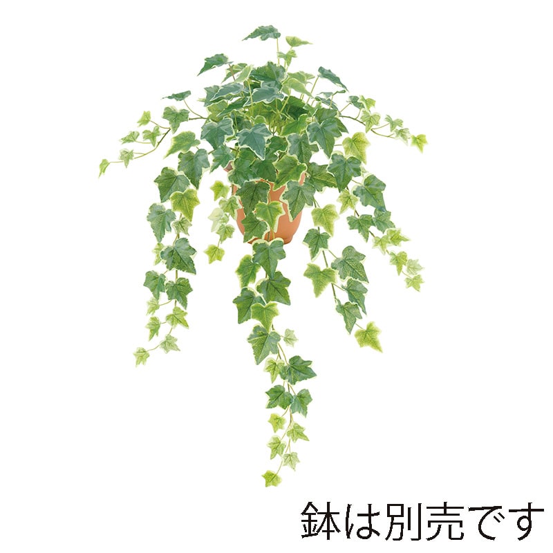 ドガ ウォータープルーフ ファインアイビーブッシュ グリーン/ホワイト LEB-8209 1本(ご注文単位1本)【直送品】