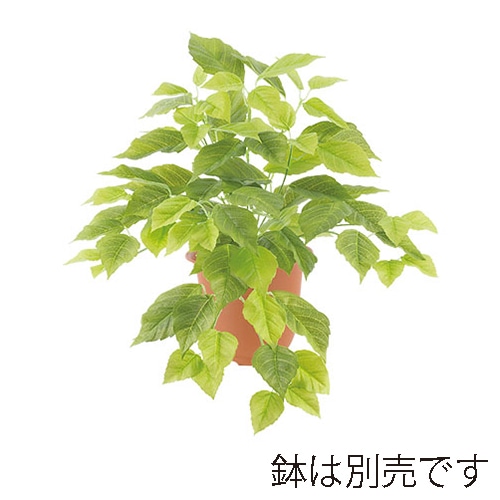ドガ フレッシュシサスブッシュ LEB-8247 1本(ご注文単位1本)【直送品】