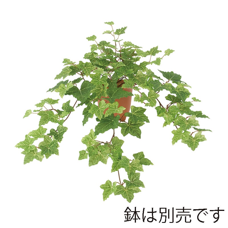 ドガ フレッシュアイビーハンギングブッシュ LEB-8287 1本(ご注文単位1本)【直送品】