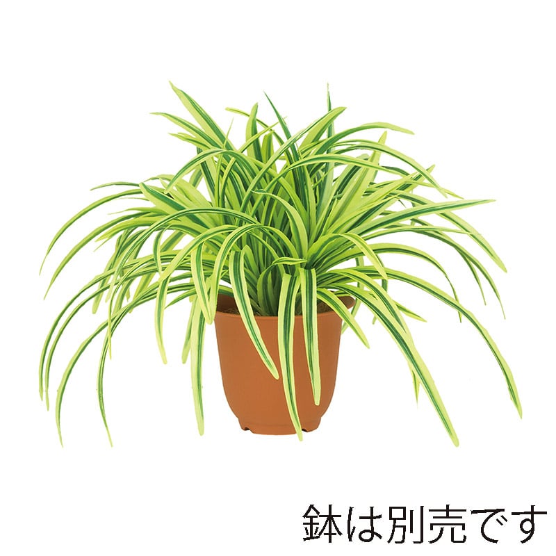 ドガ ドラセナブッシュ イエロー/グリーン LEB-8045 1本(ご注文単位1本)【直送品】