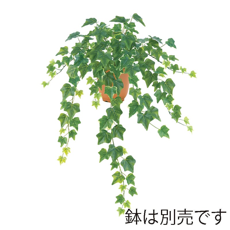 ドガ ウォータープルーフ ミックスアイビーブッシュ LEB-8333 1本(ご注文単位1本)【直送品】