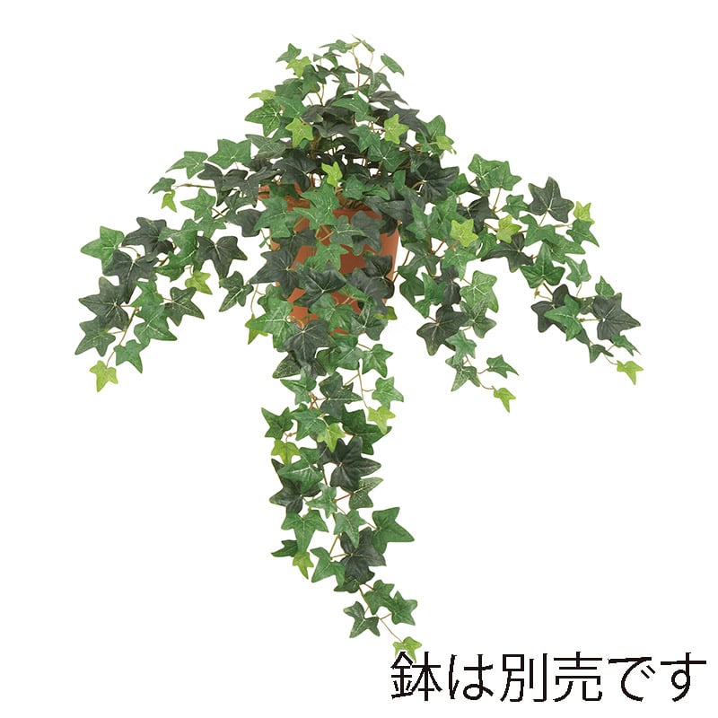 ドガ ユーロアイビーブッシュ L ツートングリーン LEB-8343-L 1本(ご注文単位1本)【直送品】