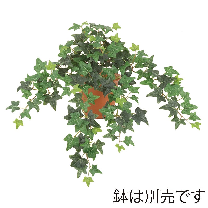 ドガ ユーロアイビーブッシュ S ツートングリーン LEB-8343-S 1本(ご注文単位1本)【直送品】