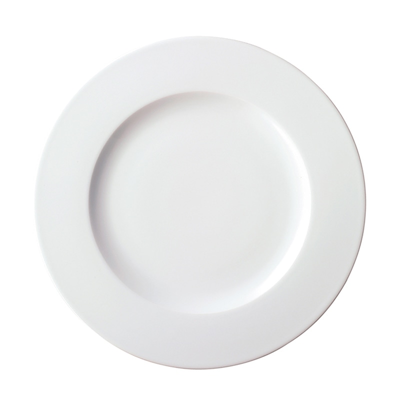 ミヤザキ食器 コスタヴェルデ サトゥルノ プレート 24cm CV2401SA 1個(ご注文単位12個)【直送品】