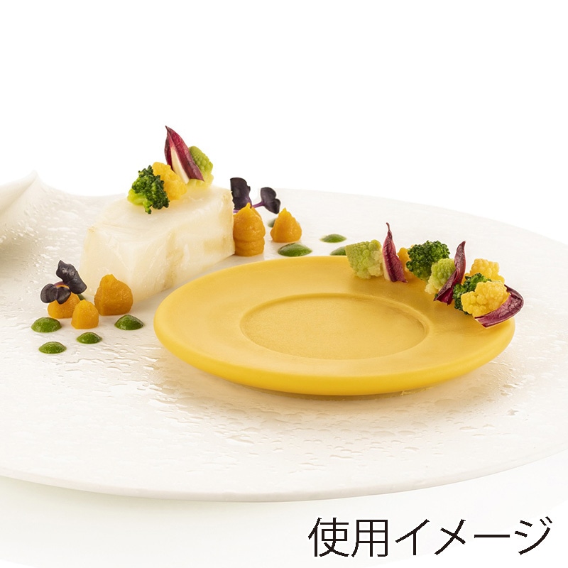 パシフィック洋行 製菓シリコン型 Naturae ピアット80 6取 2SI-PIATTO80 1個(ご注文単位1個)【直送品】