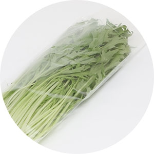 水菜