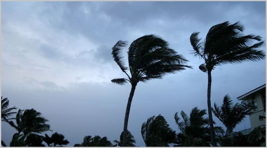 台風防災で避けるべきNG行動