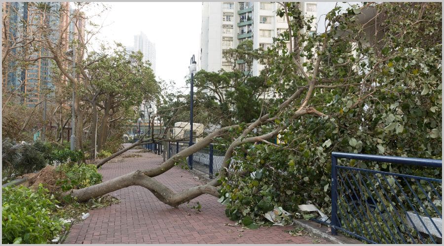 台風対策まとめ