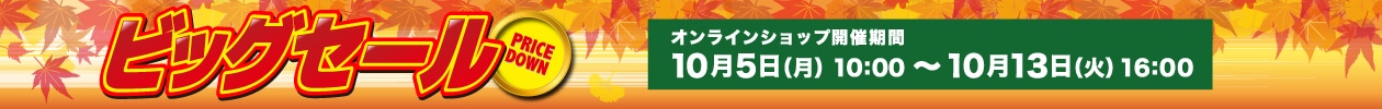 ビッグセール