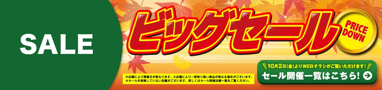 webチラシはこちら
